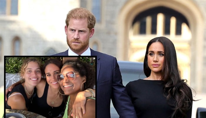 Prince Harry and Meghan Markle got engaged in 2017