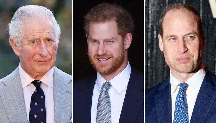 King Charles ‘trusts’ a ‘carpenter’ more than his sons Prince William ...