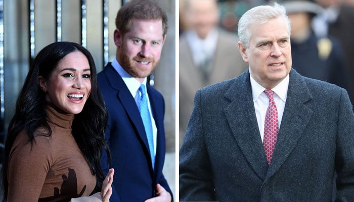Prince Harry and Meghan Markle ‘can’t be part-time royals’ but Prince Andrew can