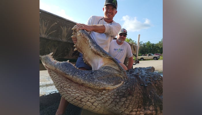 This picture, taken and released on August 26, 2023, shows a mighty alligator caught in Florida by hunters. — Facebook/Florida Gator Hunting/Get Bit Outdoors
