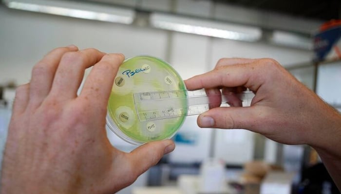 A healthcare professional can be seen carrying out an act on a bacterial sample with a scale. — AFP/File