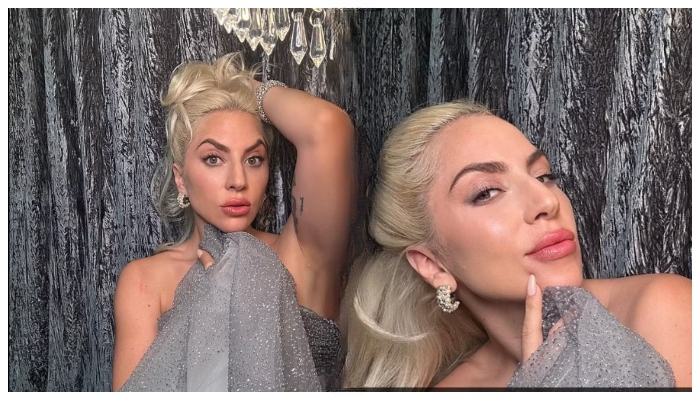 Lady Gaga stuns in glamorous grey gown for sizzling social media shoot