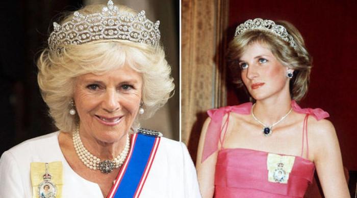 Britons voice overwhelming ‘Preference’ for Princess Diana over Queen ...