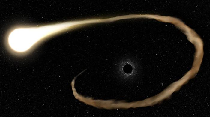 Bilim adamları ilk kez süper kütleli kara deliğin dev yıldıza yavaş yavaş ziyafet çektiğini keşfetti