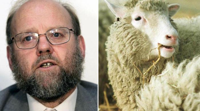 Sir Ian Wilmut, pioneering embryologist who cloned Dolly the sheep, dies at 79