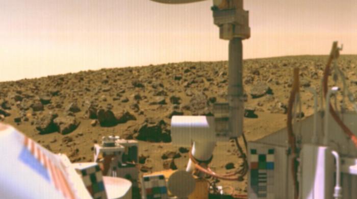 Did Nasa's 1976 Viking mission accidentally erase Martian life?