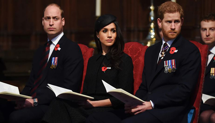 Prince Harry and Meghan Markles author pal will be releasing a book that includes a chapter dedicated to Prince William