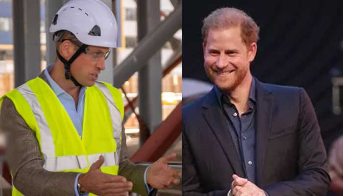 Prince William gives a crucial advice to his younger brother Prince Harry