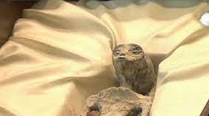 ویڈیو: یو ایف او ماہر جمی موسن نے میکسیکو کی پارلیمنٹ میں 1,000 سال پرانی ‘اجنبی’ لاشیں دکھائیں