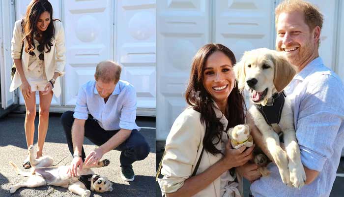 Prince Harry, Meghan Markles viral pictures with dog trigger debate