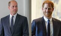 Prince William vs Prince Harry: Americans describe two brothers as 'class vs crass'