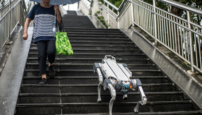 Bir robot köpek, Asya Oyunları'na ev sahipliği yapan Çin'in Hangzhou kentinde bir yaya köprüsünden aşağı doğru yürüyor.  — AFP