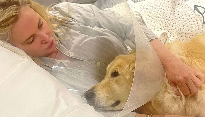 RHOC Shannon Beador under investigation by animal control for endangering dog Archie