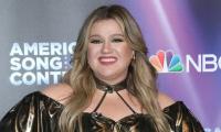 Kelly Clarkson gives update on dating life a year after divorce settlements 