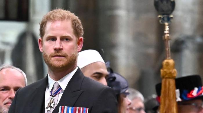 Prince Harry obligated to 'inform in advance' ahead of visit to King ...