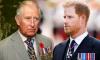 Prince Harry hands King Charles 'snapped' olive branch