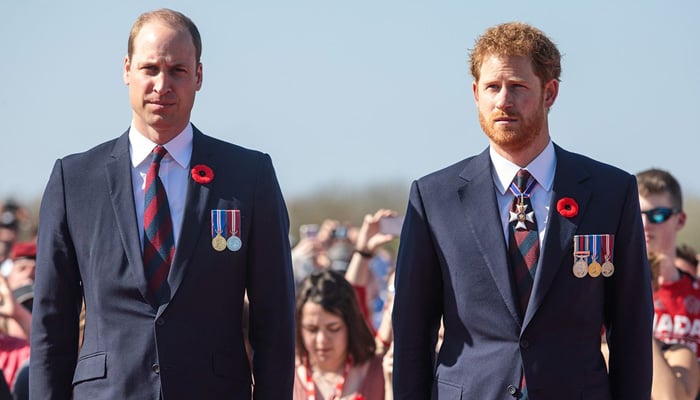 Prince William was slightly jealous of Prince Harry when they were growing up