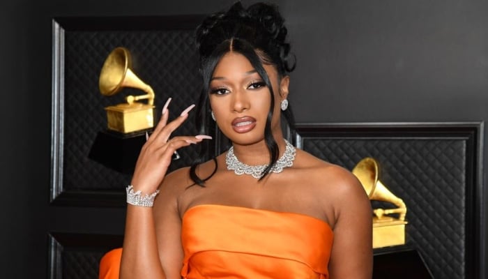 Megan Thee Stallion gets candid on mental health: I can crack