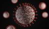 Scientists warn 'Disease X' pandemic threat may be far deadlier than COVID-19