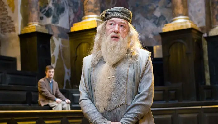 Harry Potter cast pay homage to legendary actor Michael Gambon