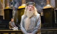 Harry Potter cast pay homage to legendary actor Michael Gambon