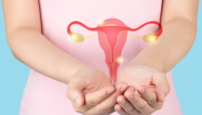 A girl with a uterus illustration over her palms, representing PCOS. — Southern Iowa Medical Centre