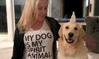 Shannon Beador walks dog after nearly losing him to animal control, DUI crash