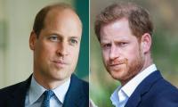 Prince William 'never Came' For Prince Harry After Seeing Brother 'brainwashed' 