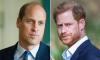 Prince William 'never came' for Prince Harry after seeing brother 'brainwashed' 