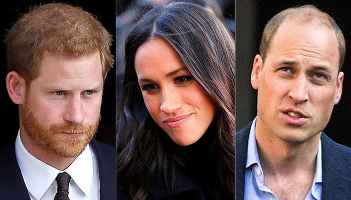 Prince Williams words about Prince Harrys wife Meghan Markle left him in anger