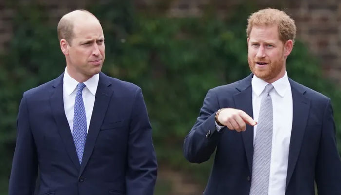 Prince William cannot resolve rift with Prince Harry due to ‘cryptic comments’