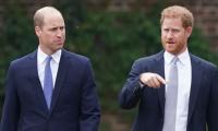 Prince William Cannot Resolve Rift With Prince Harry Due To ‘cryptic Comments’