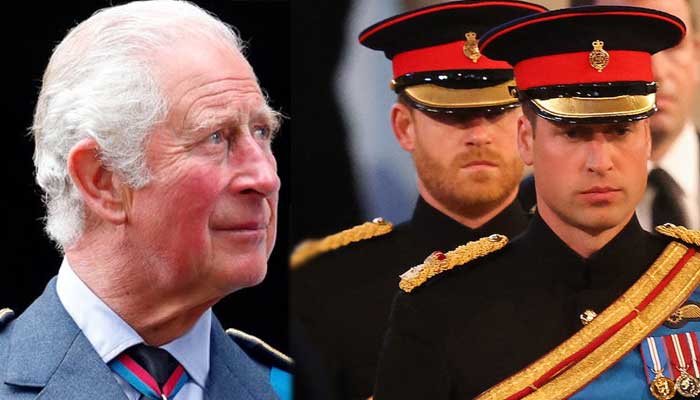 Prince William and Harrys ongoing feud hurts King Charles the most