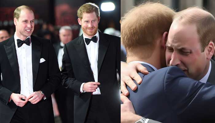 Tearful Prince Harry, Williams reconciliation photos go viral