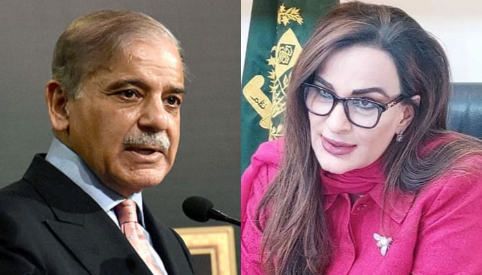 PML-N President Shehbaz Sharif (left) and PPP senator Sherry Rehman. — APP/X/File