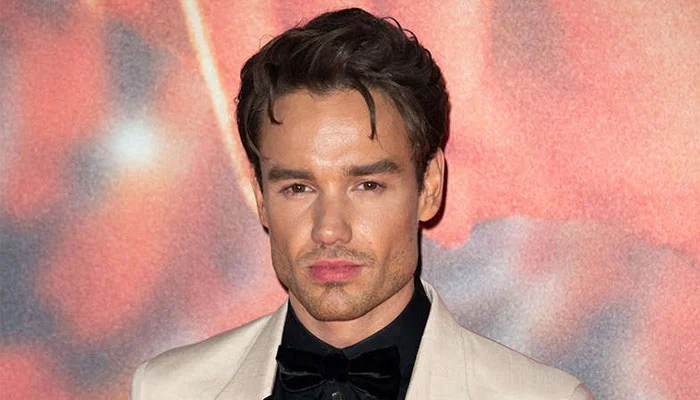 Liam Payne, former One Direction star, banned from driving for six months