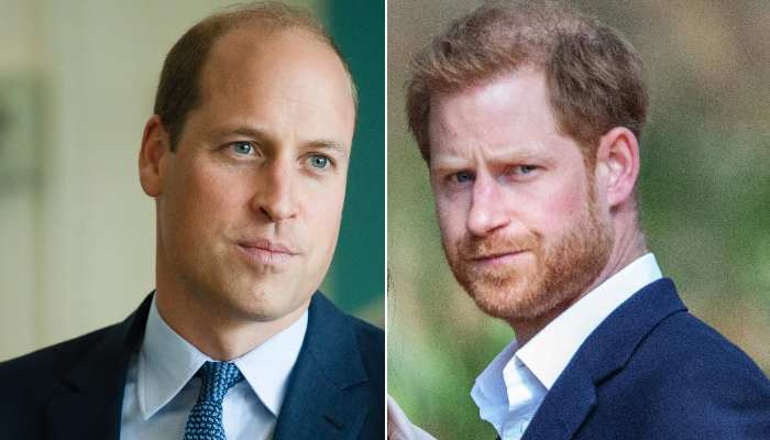 Prince William ‘sickened’ by Prince Harry’s Netflix deal