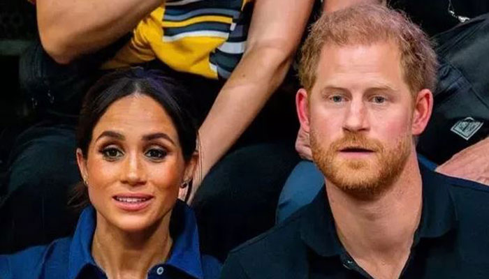 Prince Harry, Meghan Markle total hypocrites in snotty display