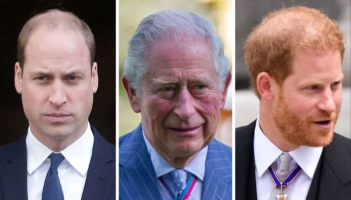 Prince William fears ‘losing control’ of King Charles amid truce with Prince Harry