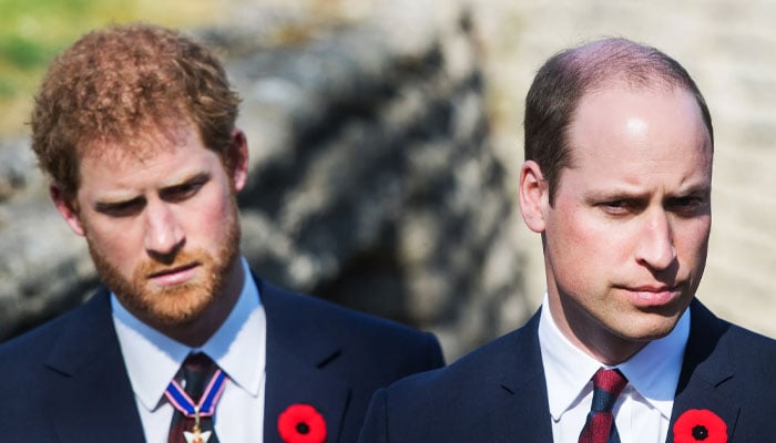 Why Prince Harry is ‘afraid’ of reaching out to Prince William for truce