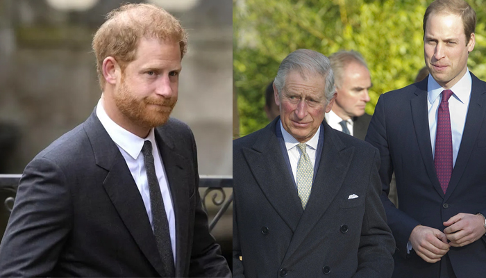 Prince Harry rejects offer of reconciliation with King Charles, Prince William