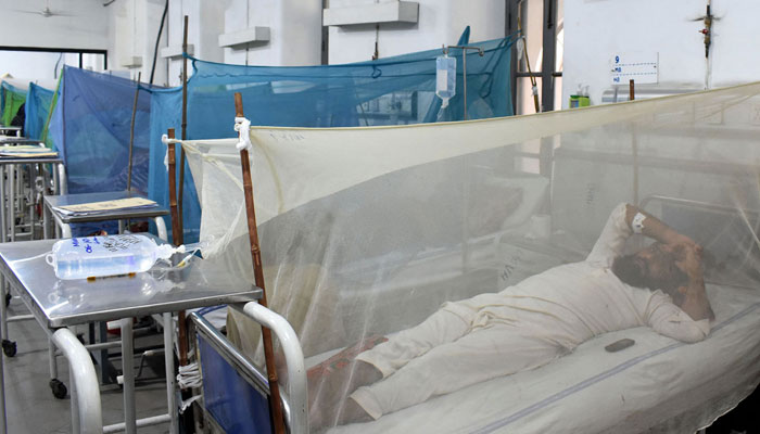 Patients suffering from dengue fever are treated at a hospital in Lahore on October 8, 2023. — Online