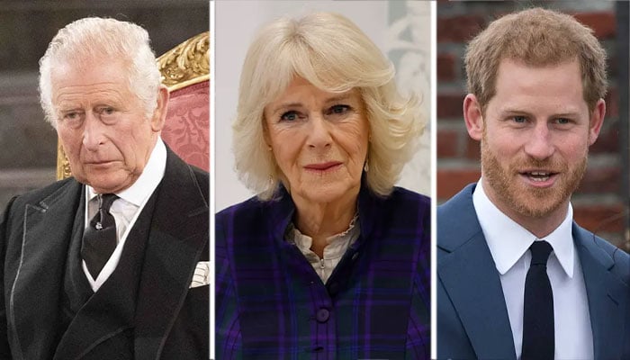 Queen Camilla ‘only one’ with power to end rift between King Charles, Prince Harry