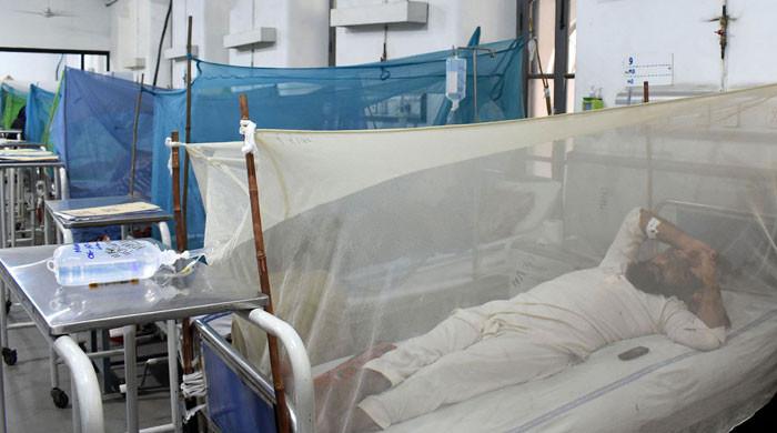 کانگو وائرس کے کیسز میں اضافے نے بلوچستان میں ہیلتھ ایمرجنسی کو جنم دیا۔