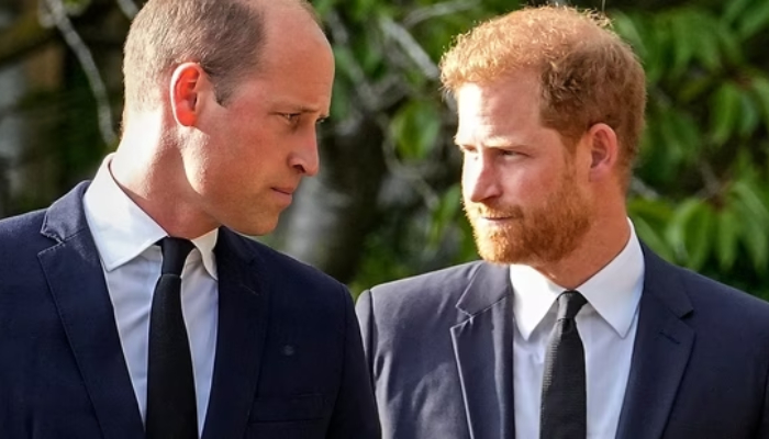 Prince Harry ‘rejected’ Prince William’s meeting with ‘two-words’
