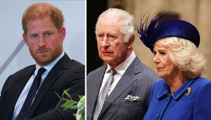 King Charles, Queen Camilla ‘fed up’ of constant attack from Prince Harry