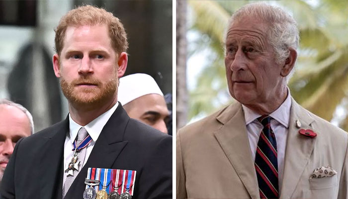 Prince Harry appears to ‘mock’ King Charles with a new PR strategy