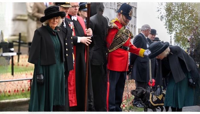 Queen Camilla attends 95th year of Field Of Remembrance, continues royal tradition