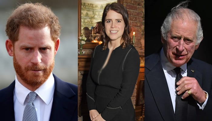 Princess Eugenie seemingly picks sides in Prince Harry, King Charles feud