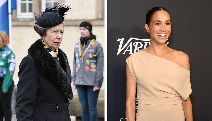 Princess Anne advised Meghan Markle to take royal position as a job